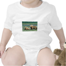 Ours gris t-shirts
