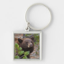 Ours noir avec la couleur blonde porte-clés