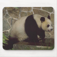 Ours panda sauvage animal Mousepad Tapis De Souris