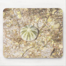 Oursin Tapis De Souris