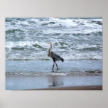 Out for a Morning Stroll Print