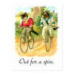 Out for a spin post cards
