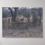 Out in the Woods Print