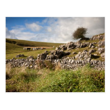 Out on the Dales Post Cards