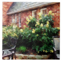 Outdoor Cafe With Hydrangea Ceramic Tiles