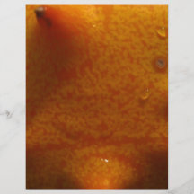 outside of star fruit flyer