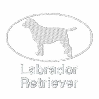 Oval Labrador Retriever