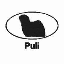 Oval Puli Embroidered Shirt