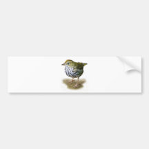 oven bird t-shirt warbler birdwatching bumper stickers