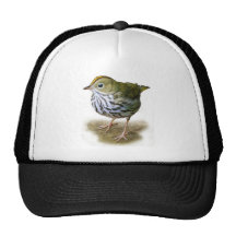 oven bird t-shirt warbler birdwatching trucker hat