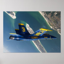 Over Pensacola Poster