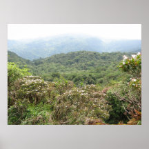 Over the jungle print