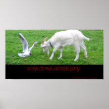 Overcome Adversity Poster