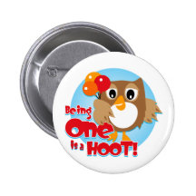 Owl 1st Birthday Pins
