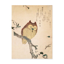 Owl and magnolia – Kobushi ni mimizuku Postcards