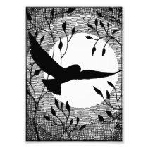 Owl and Moon Cross Hatched Photo Art