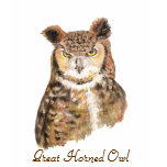 Owl Animal Totem t-shirts