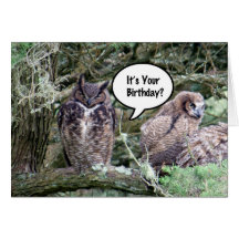 Owl Birthday Card