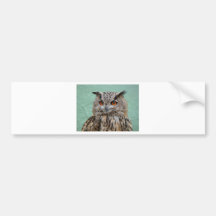 OWL BUMPER STICKER
