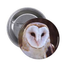 owl buttons
