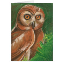 Owl Card