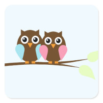 Owl couple on a branch