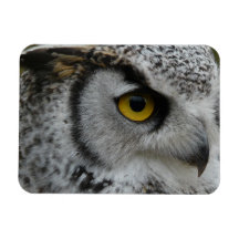 Owl Eye - Close Up Photo Rectangle Magnet