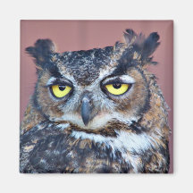 Owl Eyes Magnet