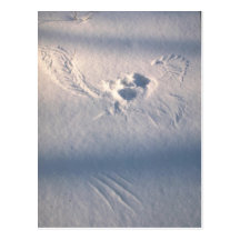 Owl feather imprint in the snow postcard