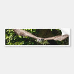 Owl Flying Bumper Sticker