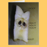 OWL Happy Halloween! cards