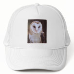 owl hat