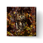 Owl in Autumn buttons