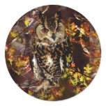 Owl in Autumn stickers