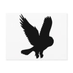 Owl in Flight Post Card
