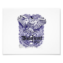 owl mafeficent affected design photo print