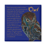 Owl Magnet