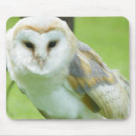 Owl Mouse Mats
