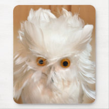 Owl Mousepads