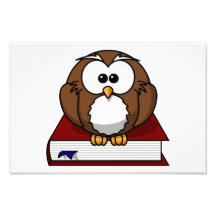 Owl on a book cartoon photograph
