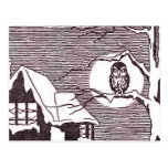 Owl on a Branch Postcards