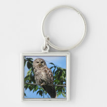 Owl On Wire Key Chain