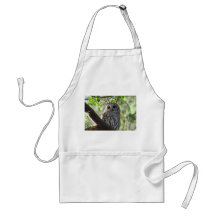 Owl Photo Aprons
