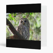 Owl Photo Binders
