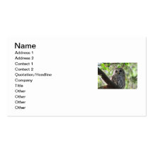 Owl Photo Business Cards