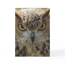 Owl Photo Greeting Card
