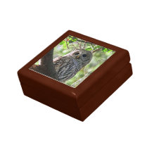 Owl Photo Keepsake Boxes