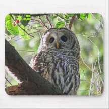 Owl Photo Mouse Pads