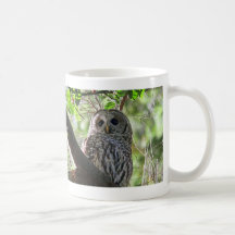 Owl Photo Mug