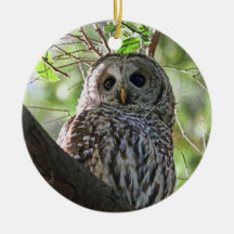 Owl Photo Ornament